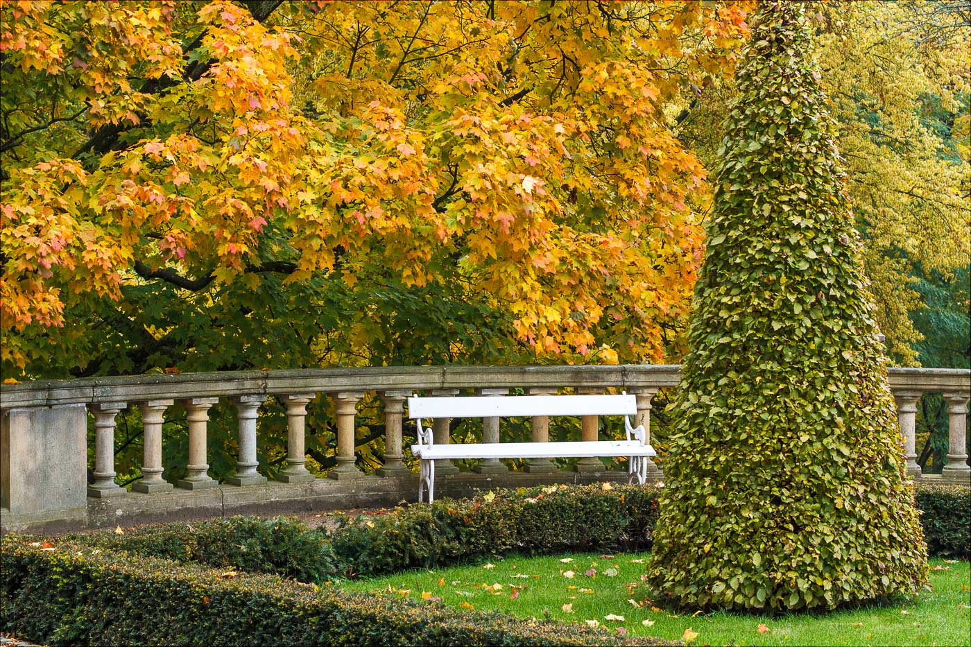 Золотая осень в Конопиштском парке, Чехия