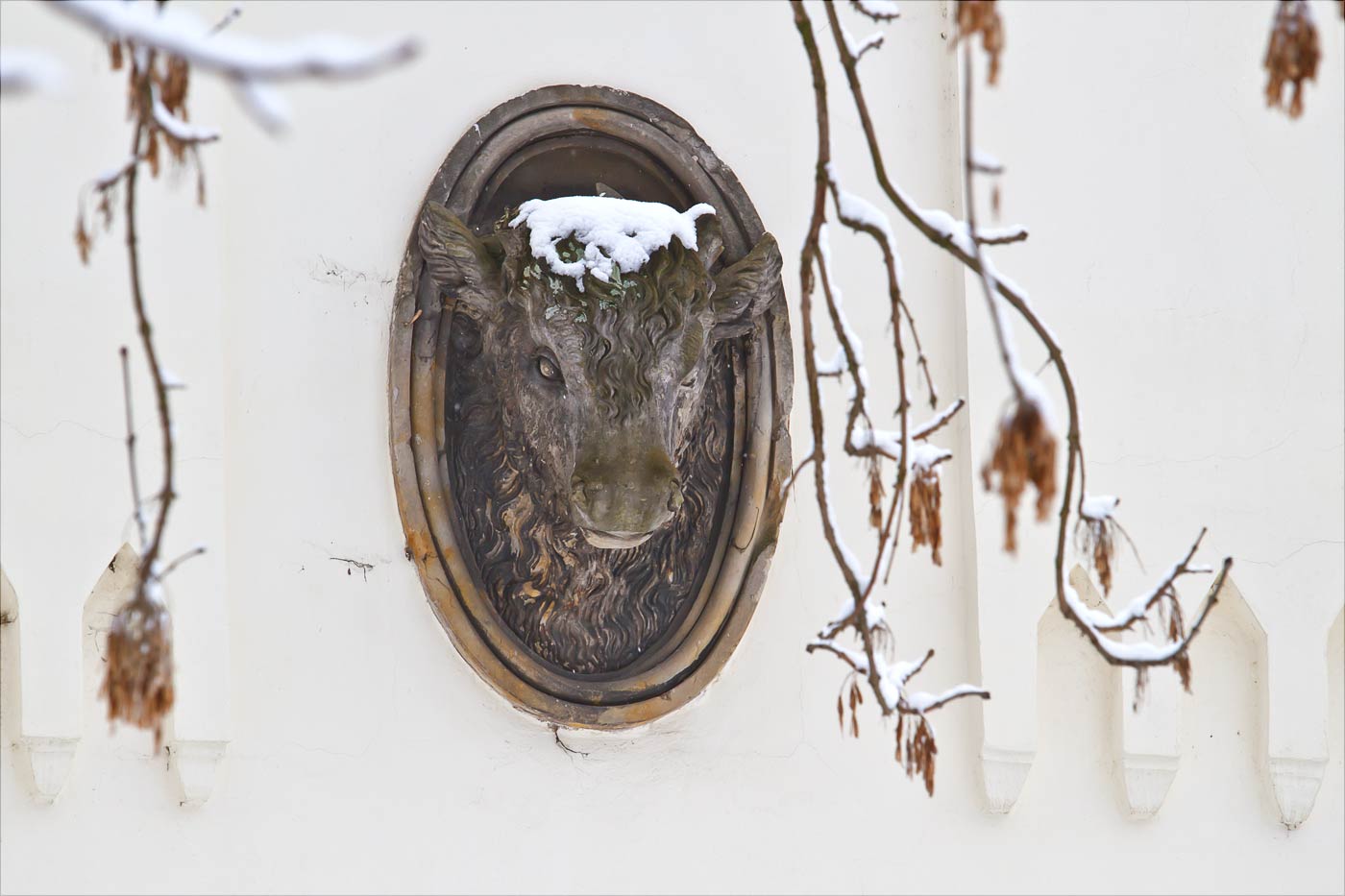 Голова бизона на фасаде Зносимской браны у Влашимкого парка