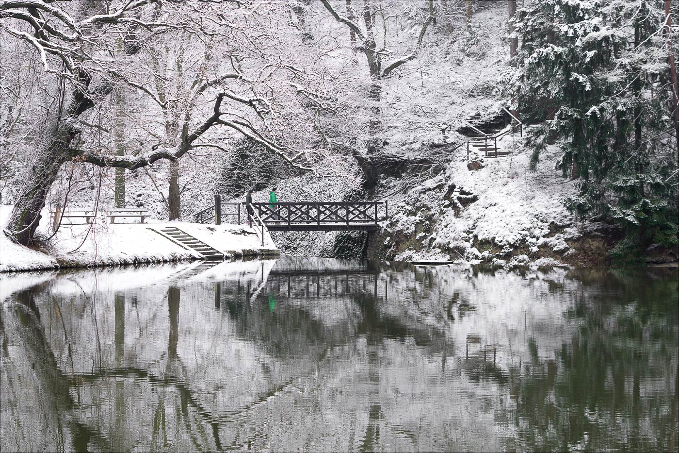 Снежный зимний день в Пругоницком парке