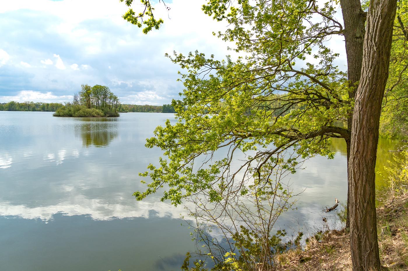 Прогулка у озер около Весели над Лужници, Южная Чехия